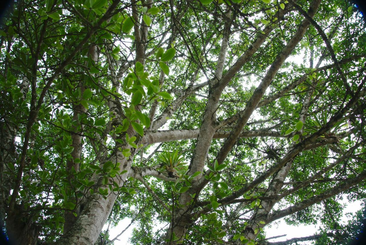 Finca Umnisa - Choachi Εξωτερικό φωτογραφία